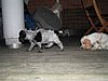 IMG_7988.JPG