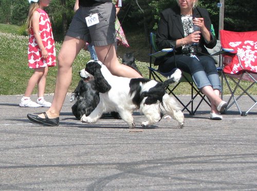 IMG_0431.JPG