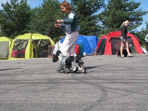 IMG_0462.JPG