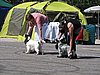 IMG_0476.JPG
