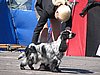 IMG_0485.JPG