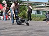 IMG_0491.JPG