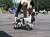 IMG_0520.JPG