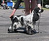 IMG_0528.JPG