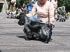IMG_0531.JPG