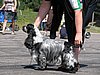 IMG_0540.JPG
