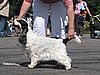 IMG_0542.JPG