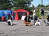 IMG_0549.JPG