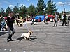 IMG_0552.JPG