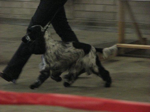 IMG_6393.JPG