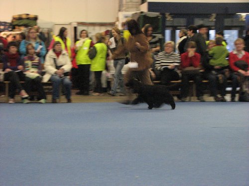 IMG_9112.JPG