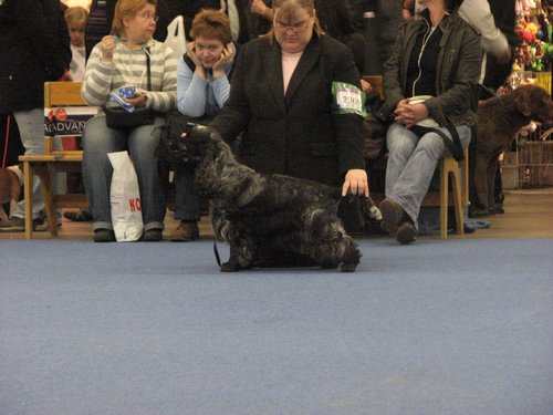 IMG_9139.JPG