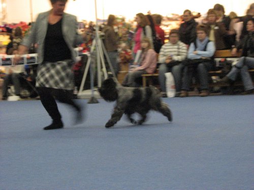 IMG_9173.JPG