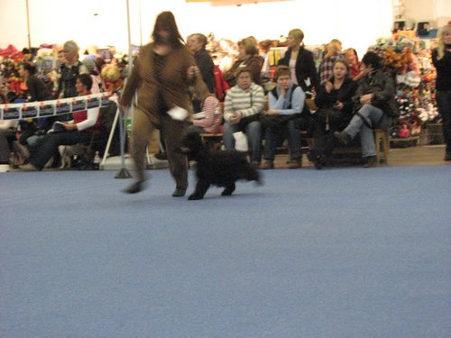 IMG_9186.JPG