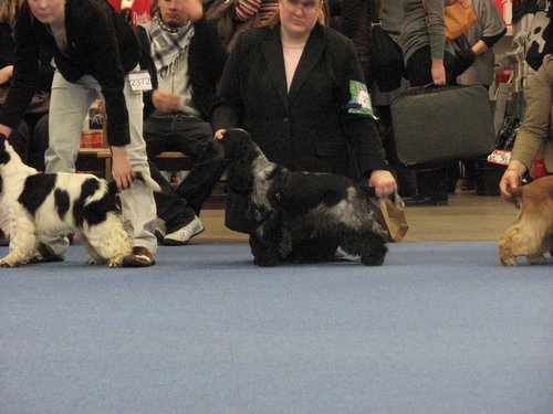 IMG_9237.JPG
