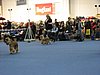 IMG_9148.JPG