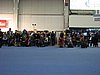 IMG_9194.JPG
