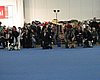 IMG_9212.JPG