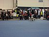 IMG_9214.JPG