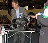 IMG_9217.JPG