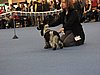 IMG_9227.JPG