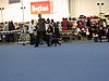 IMG_9232.JPG