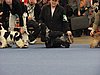 IMG_9237.JPG