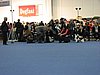 IMG_9242.JPG
