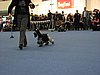 IMG_9245.JPG