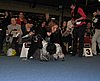 IMG_9251.JPG