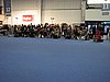 IMG_9266.JPG