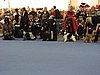 IMG_9267.JPG