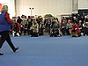 IMG_9270.JPG