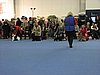IMG_9271.JPG