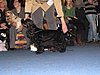 IMG_9273.JPG