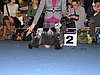 IMG_9276.JPG